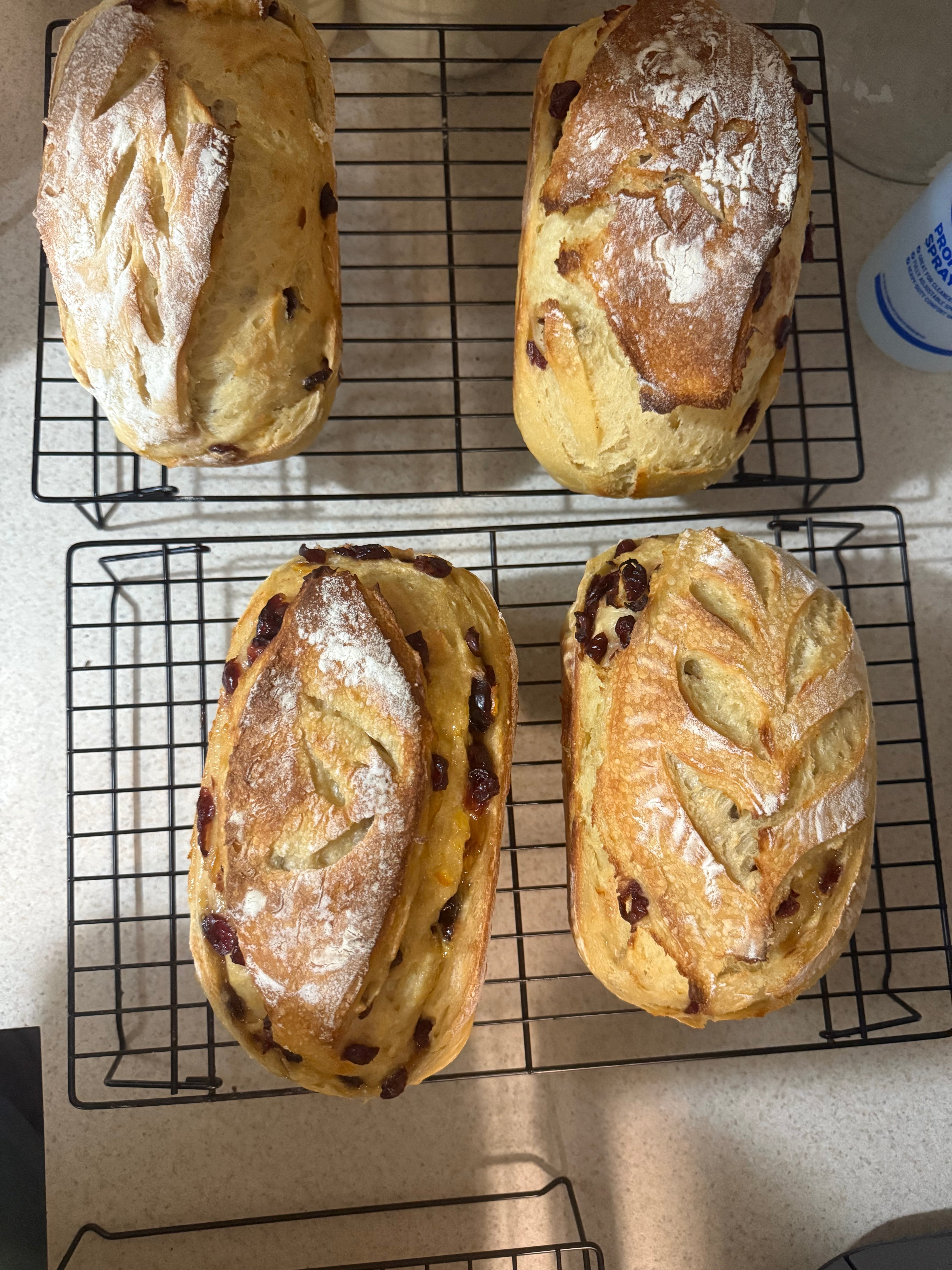 Cranberry Orange Sourdough loaf