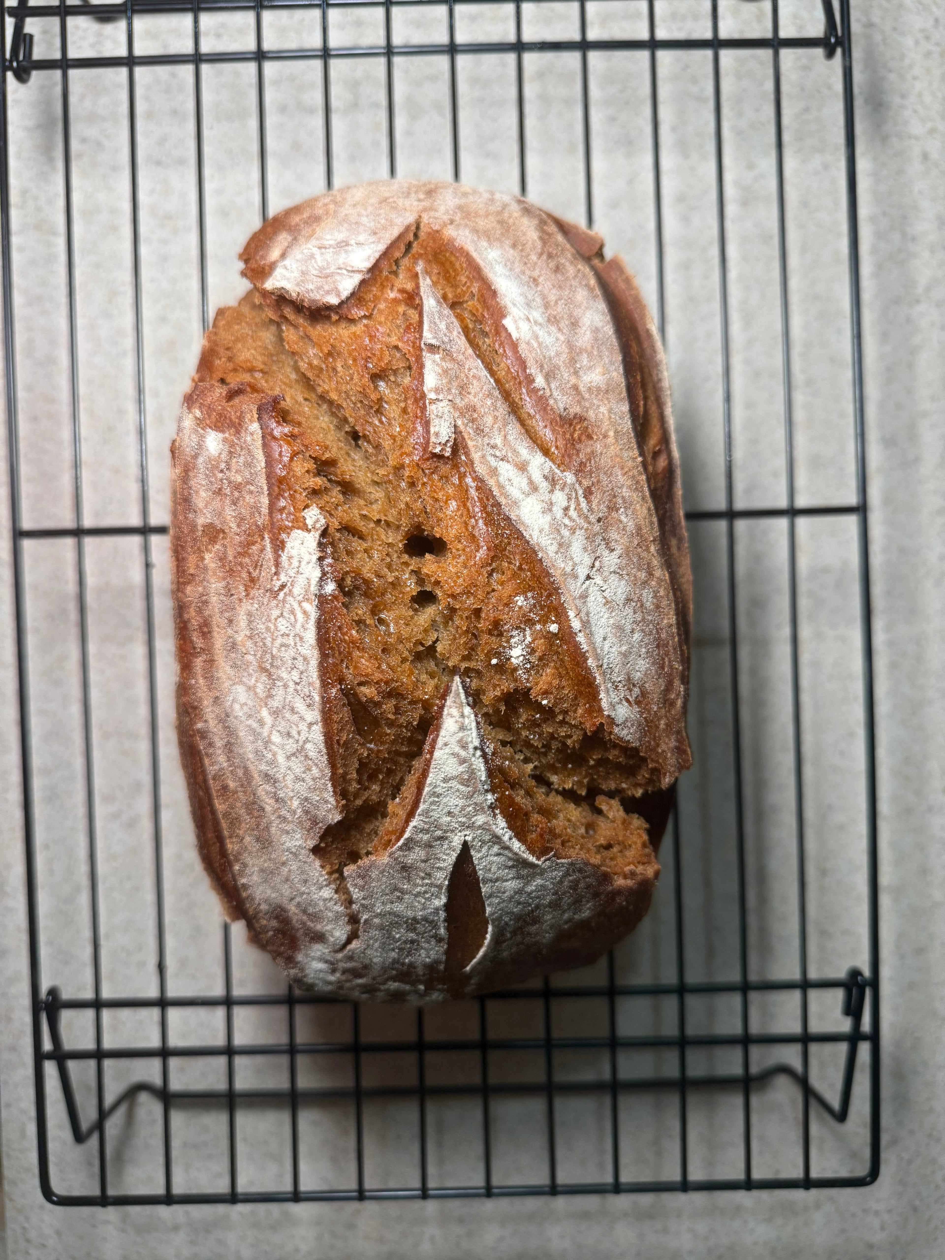 Gingerbread sourdough loaf