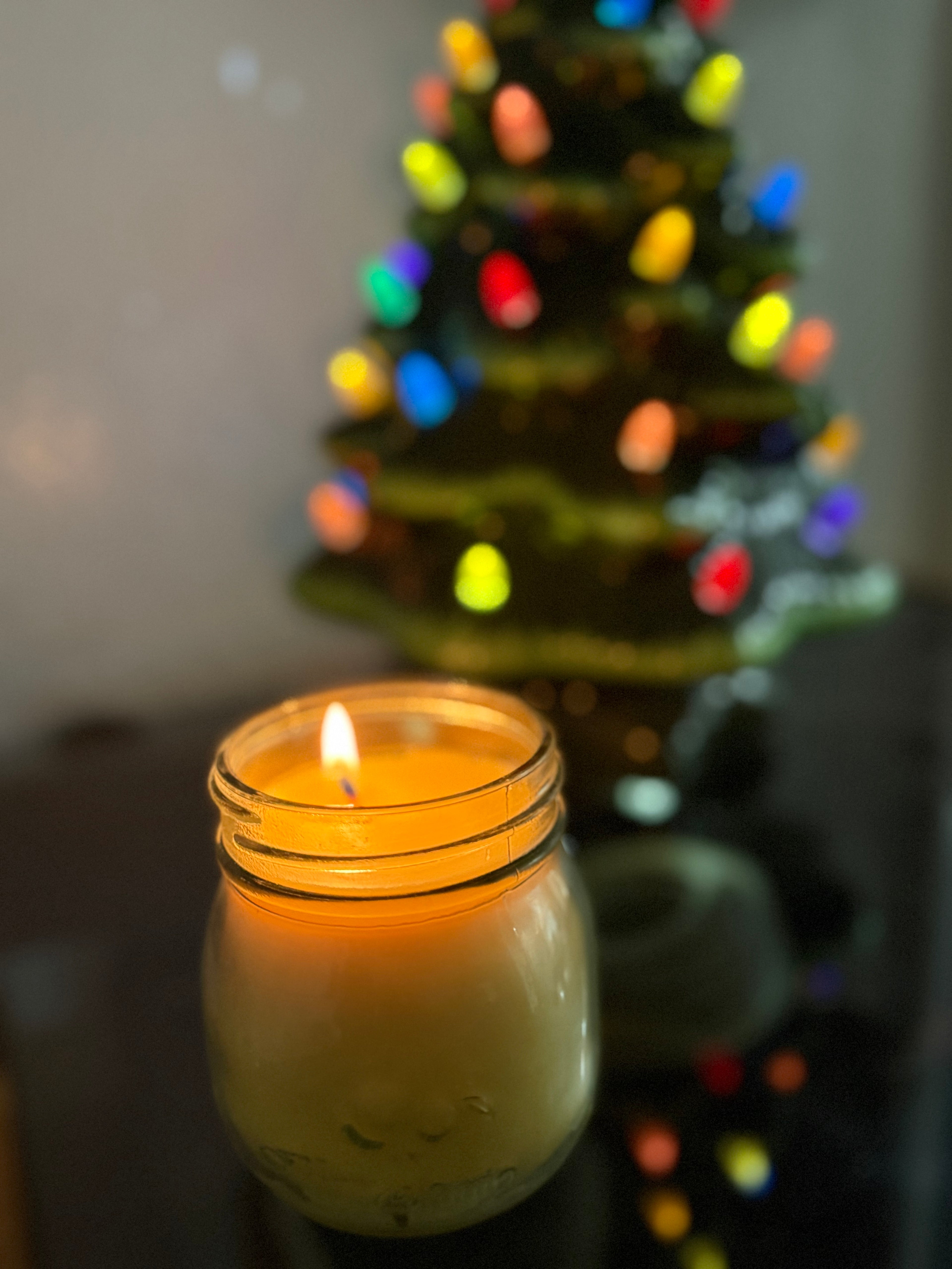 Pure FL beeswax and tallow Candle