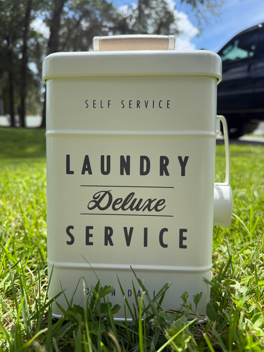 Handmade Powder laundry soap