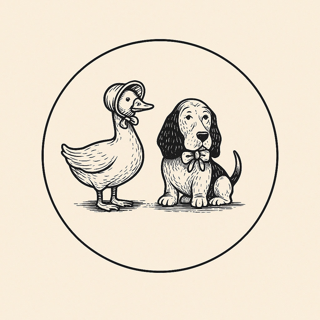 My Florida Adventure